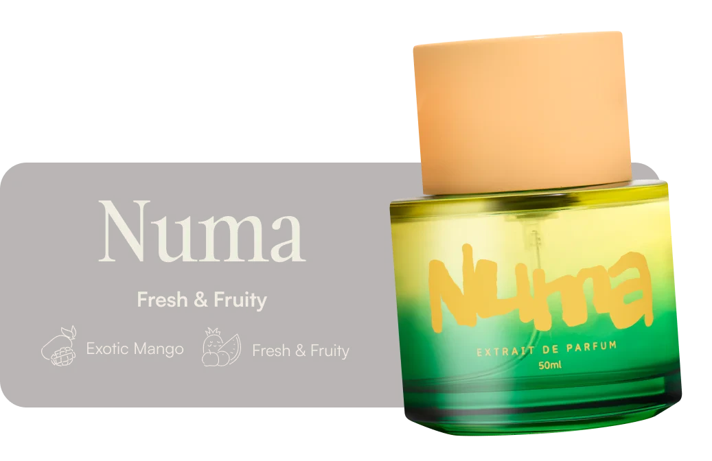 PRODUCT - NUMA